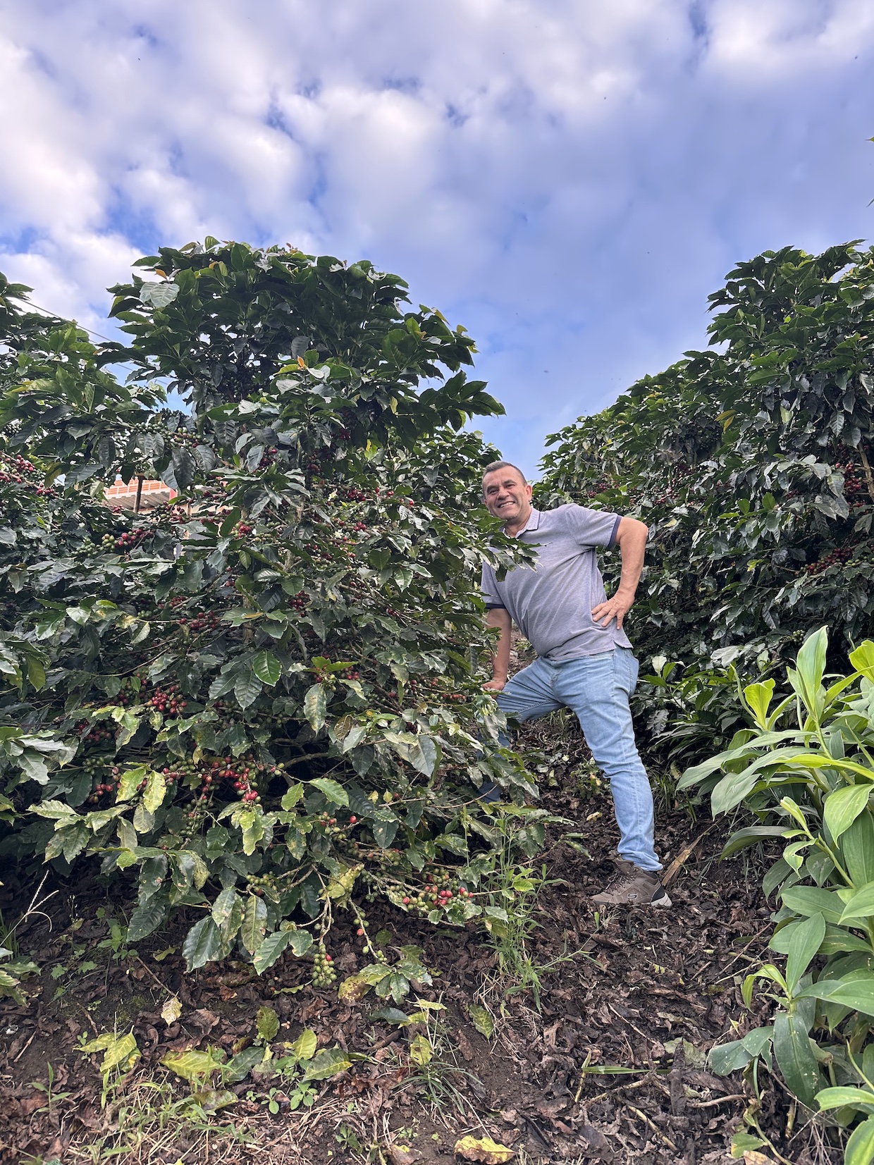 Caffeto Specialty Coffee Carolina farm