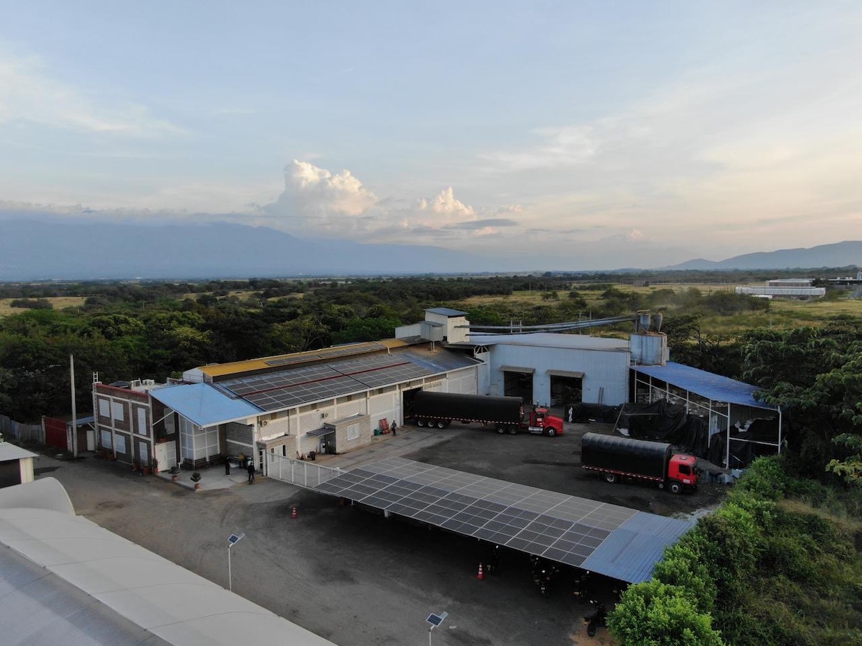 Faro Coffee Colombia