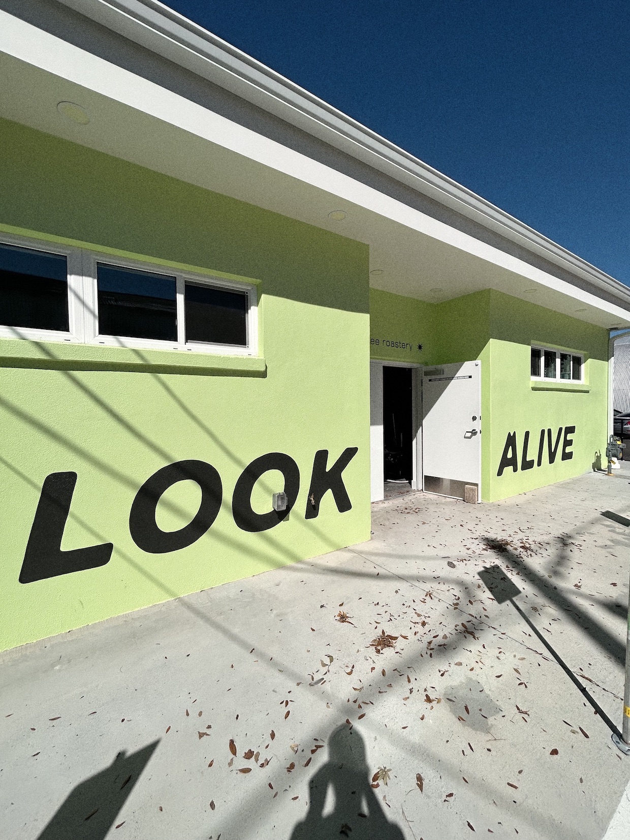 Look Alive Coffee St. Petersburg 1