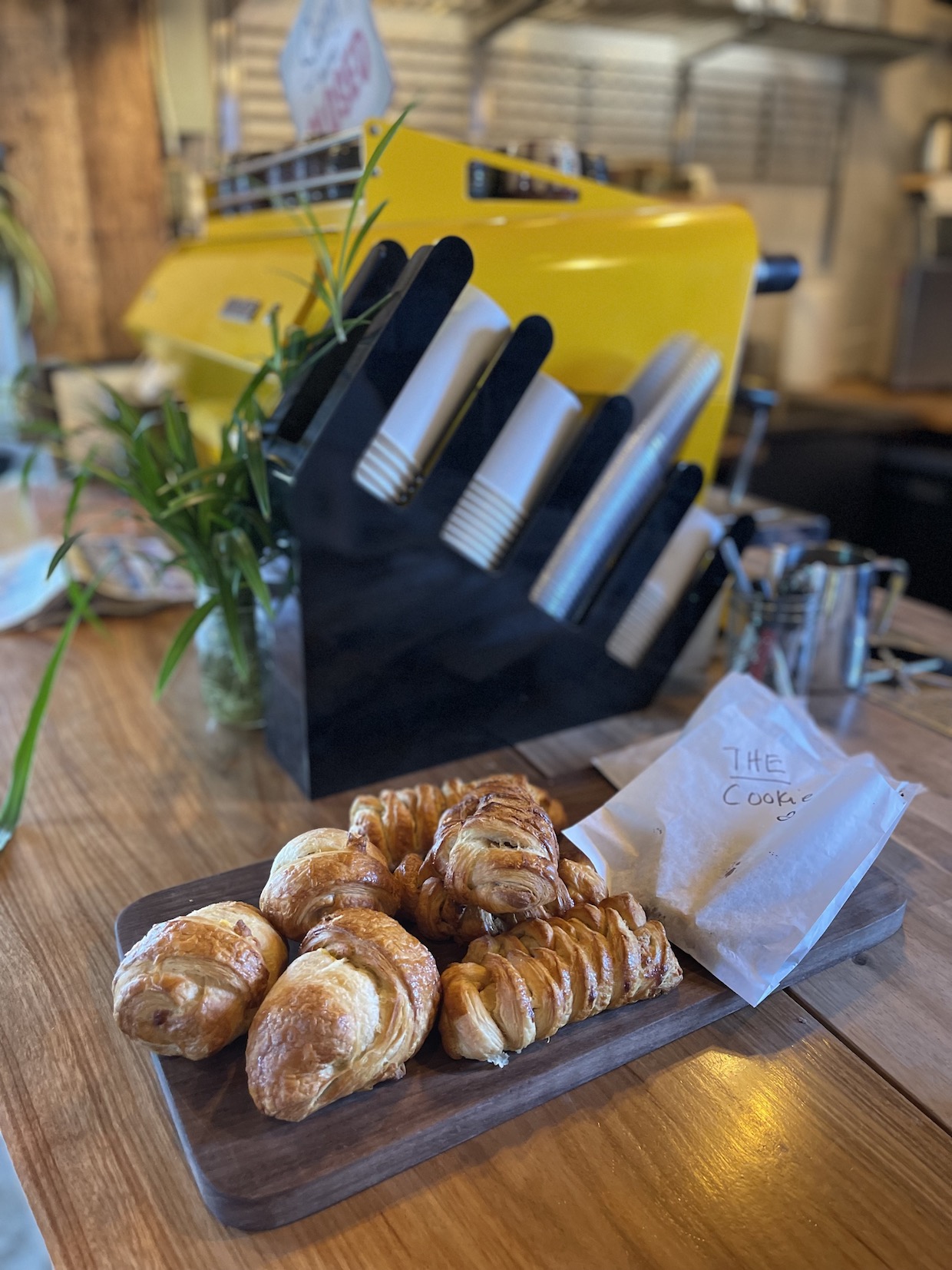 Salto Coffee Rollinsville 2