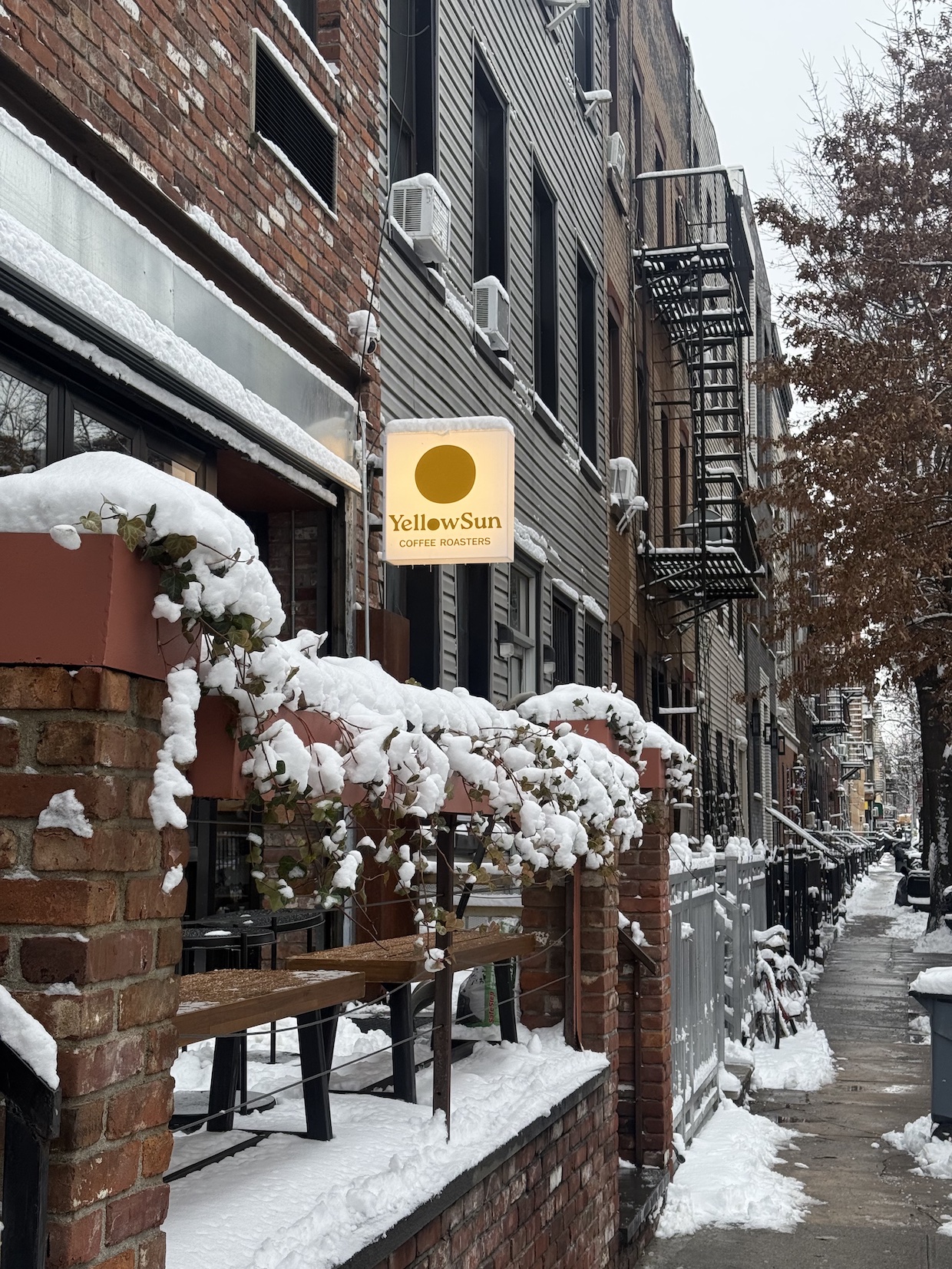 Yellow Sun Coffee Brooklyn 2