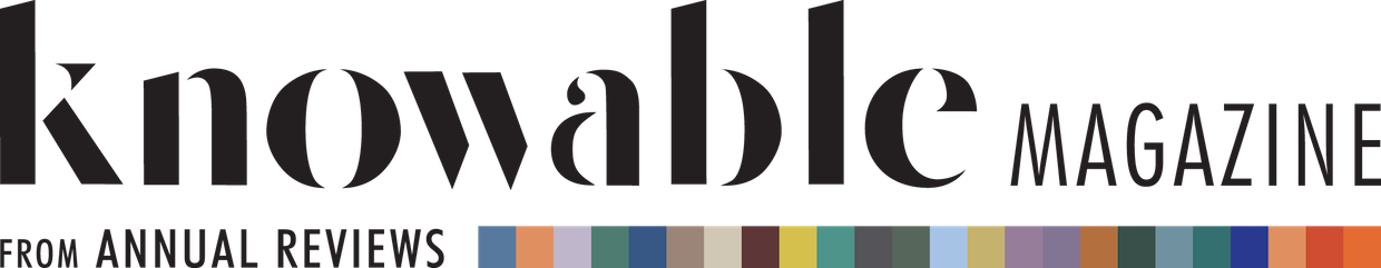 Knowable Magazine logo