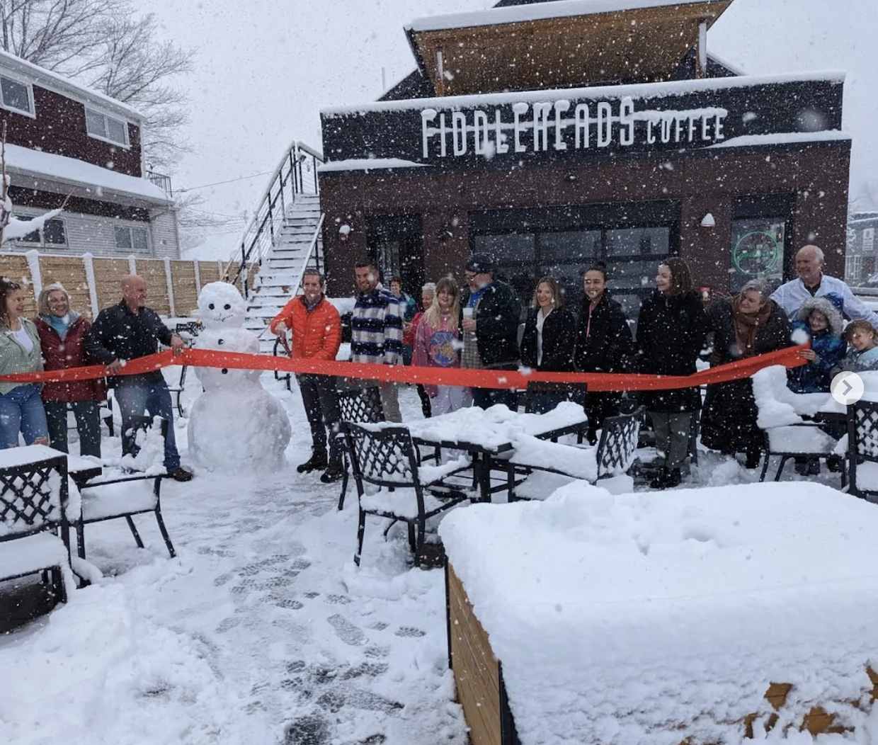 Wauwatosa Fiddleheads opening